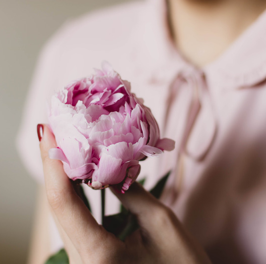 Canva_-_Pink_Petaled_Flower